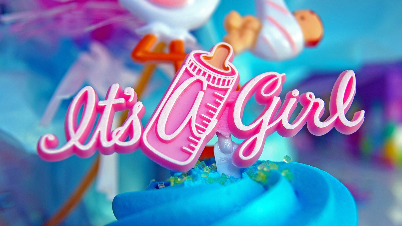Gender reveal party decorations in pink and blue