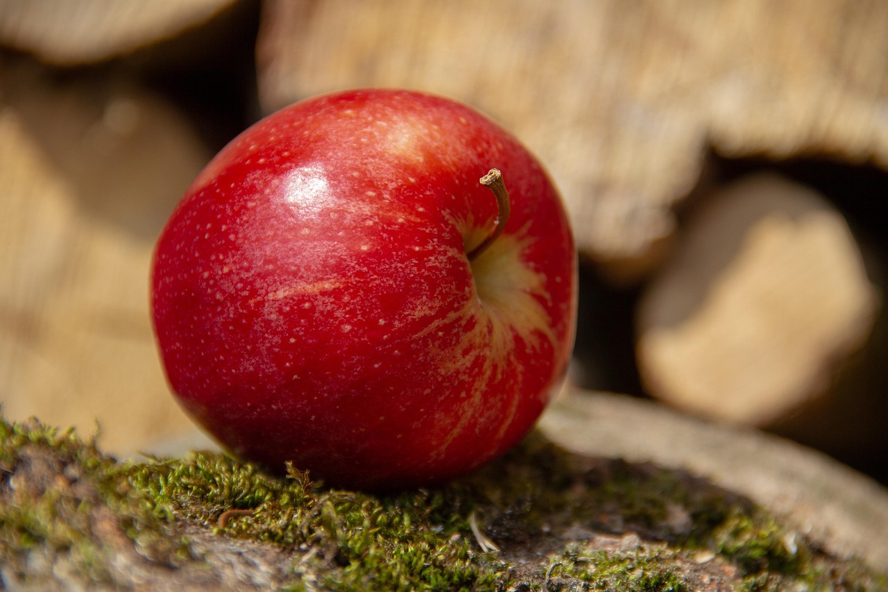Healthy foods and prenatal vitamins for the first trimester