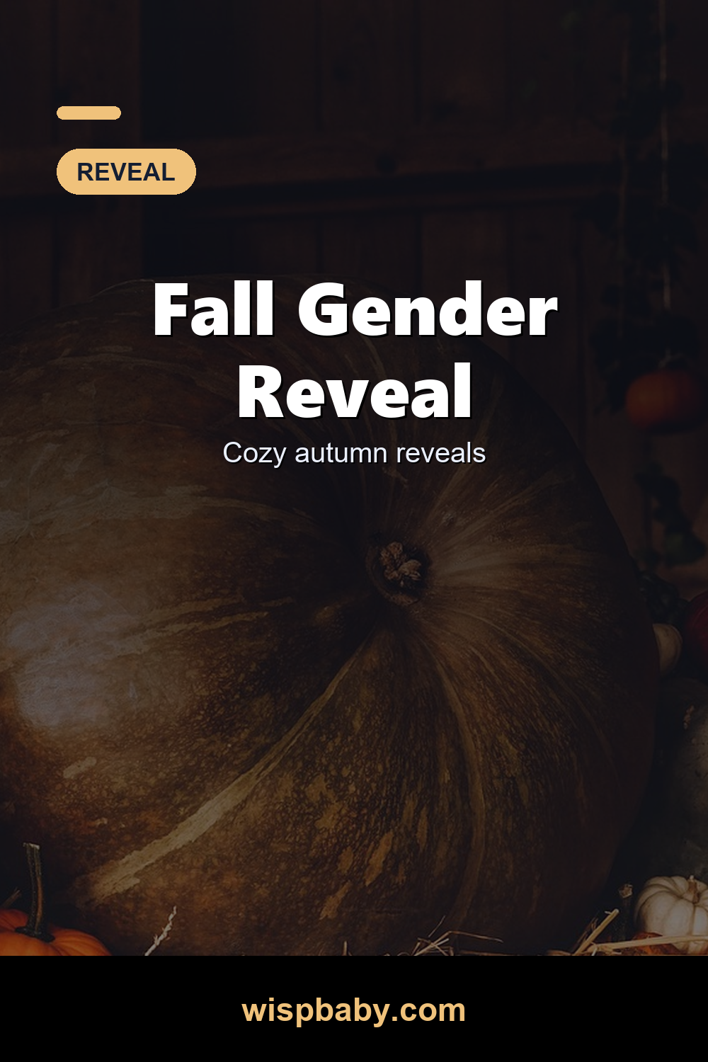 Fall Gender Reveal Ideas: 25 Cozy Autumn Ways to Reveal